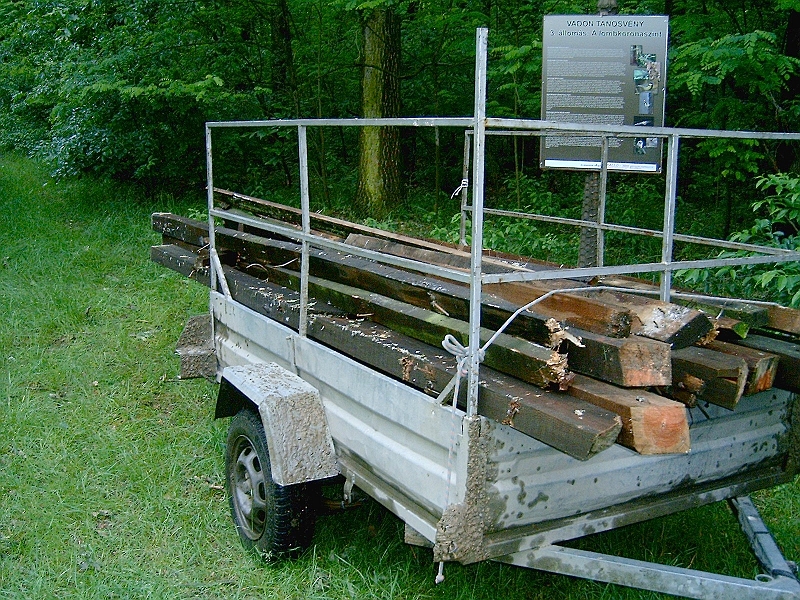 20100601 002.jpg